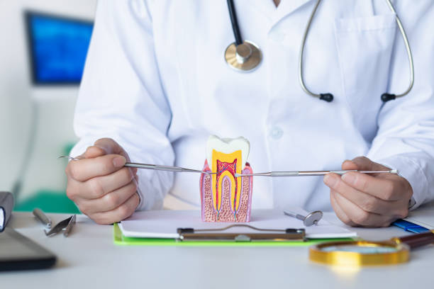 Best Emergency Denture Repair in Homewood, IL